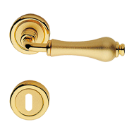 ALDAR Mortise Handle on Rose in Matt Go